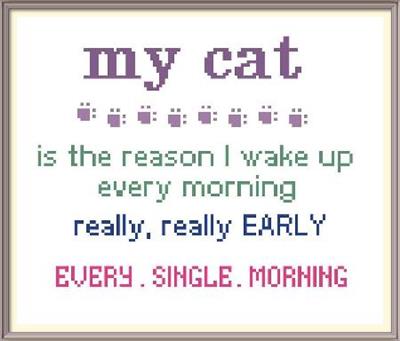 (image for) My Cat.... Wakes Me EARLY